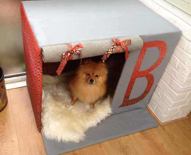 diy cardboard boxes for pets
