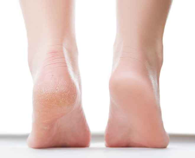 ways you can use olive oil Inside