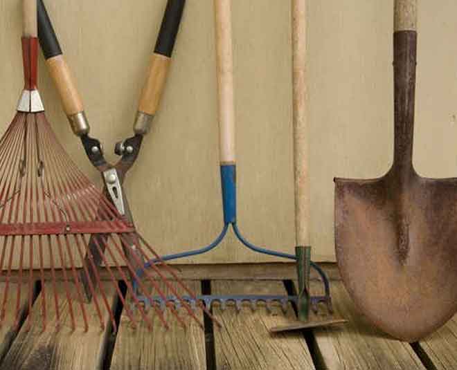 ways you can use olive oil Inside