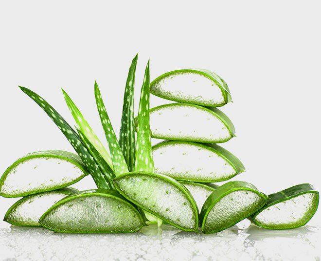 wrinkles on your hands aloe vera