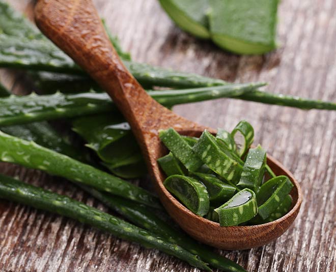 aloevera for acne scars