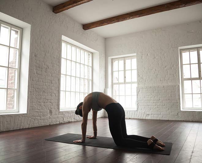 cow cat pose benefits inside