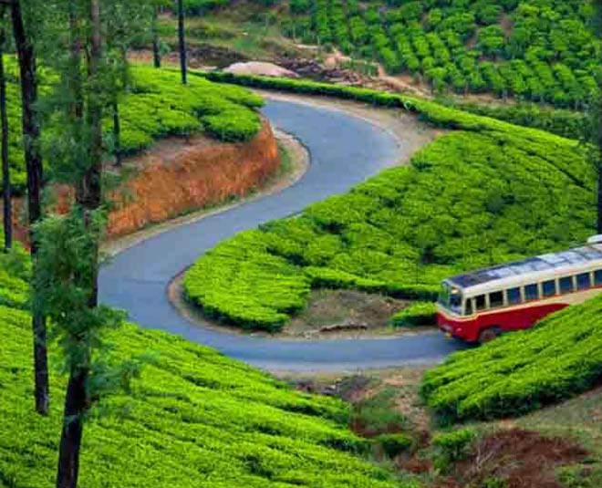 best family destinations for new year munnar inside