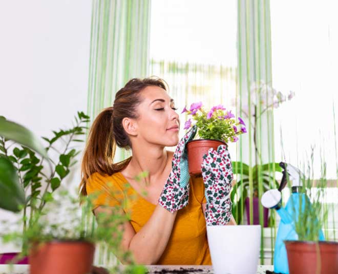 different ways to use vinegar in your garden inside