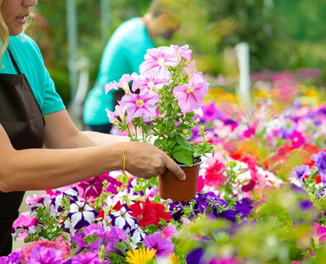 different ways to use vinegar in your garden inside