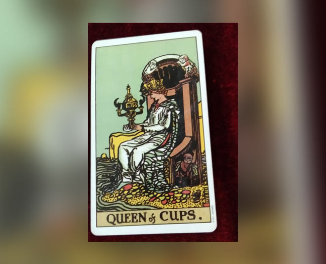 asim riaz bigg boss trophy