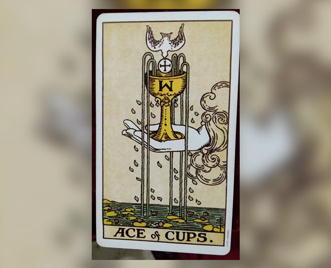 bigg boss trophy sidharth shukla