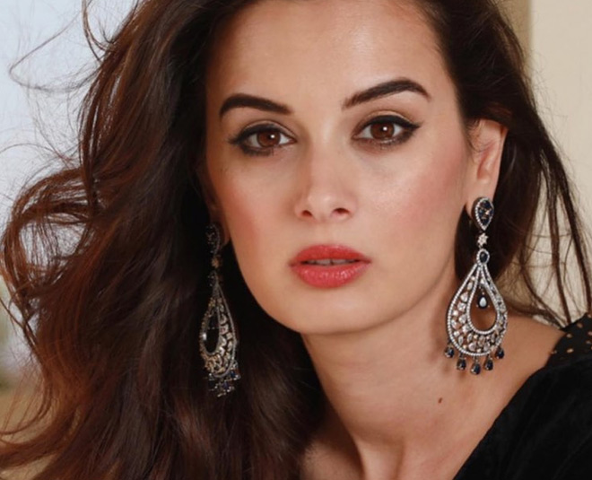 evelyn sharma biggboss
