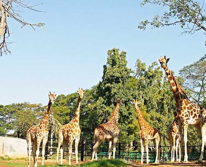 mysore Karnataka best travel destinations inside