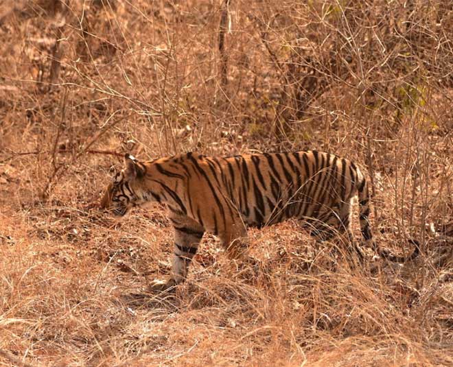 places to visit amravati in maharashtra inside