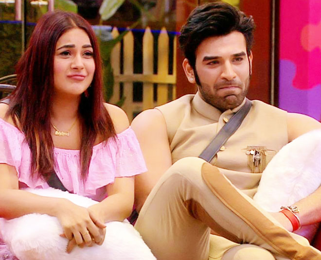 shehnaaz gill love life paras