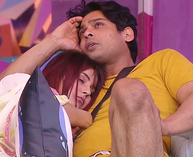 shehnaaz gill love life sidharth