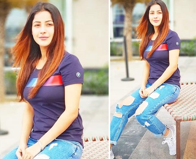 shehnaaz gill love life three