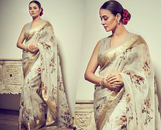 surveen chawla indian looks deserve attention INSIDE