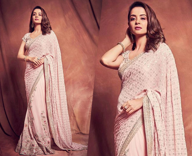 surveen chawla indian looks deserve attention INSIDE