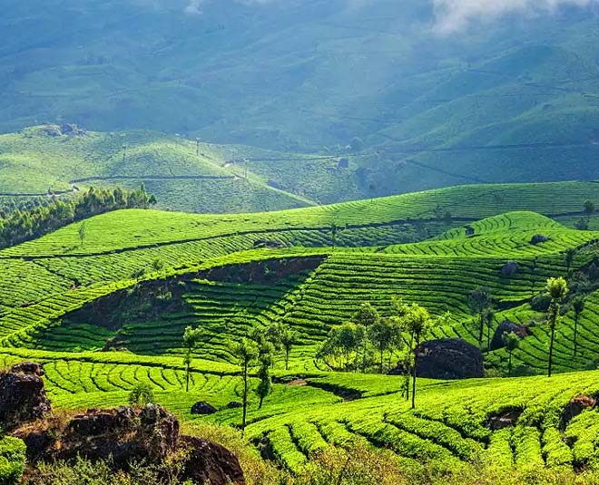 must visit travel destinations in kerala inside