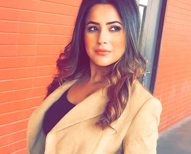 shehnaaz gill sidharth shukla love story