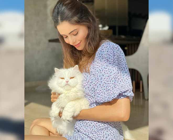 aamna sharif short dress inside