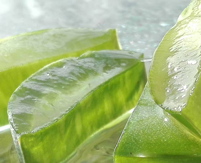 aloe vera erupções cutâneas