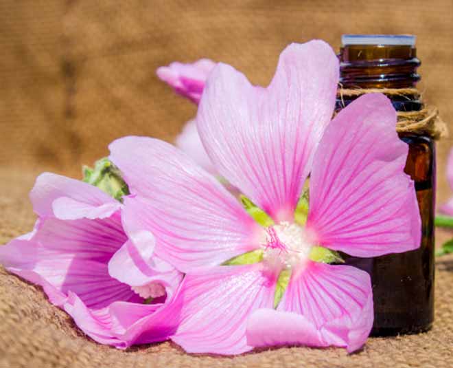 lavander essential oil hair perfume