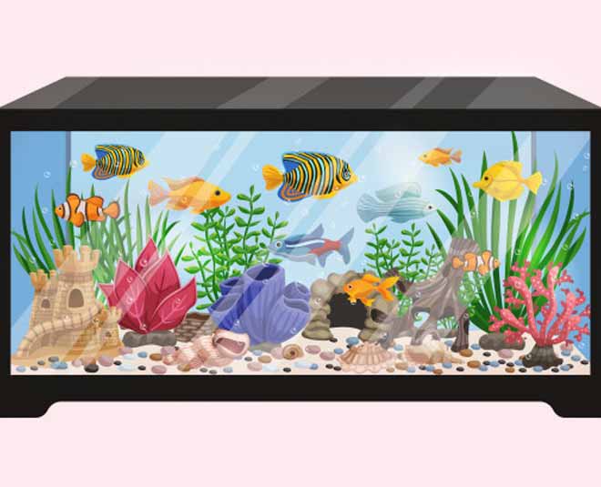 tips to deep clean your fish tank inside