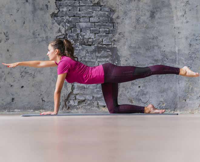 belly fat exercise bird dog