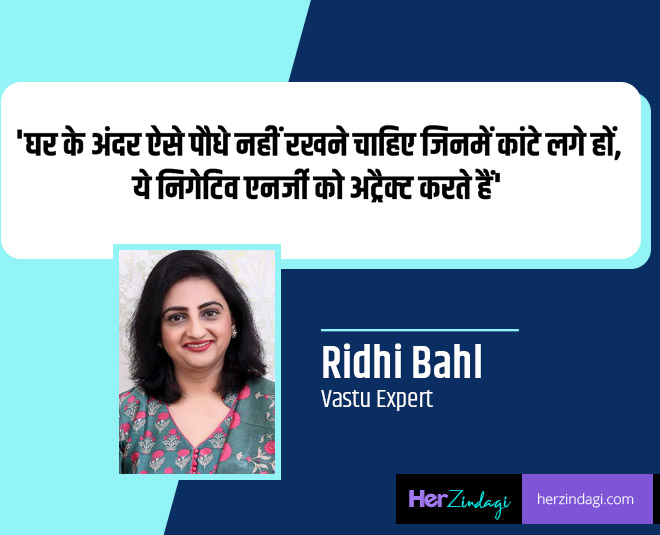 dont keep these plants at home