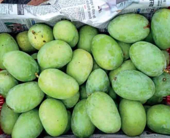 famous mango varieties that you should know about inside