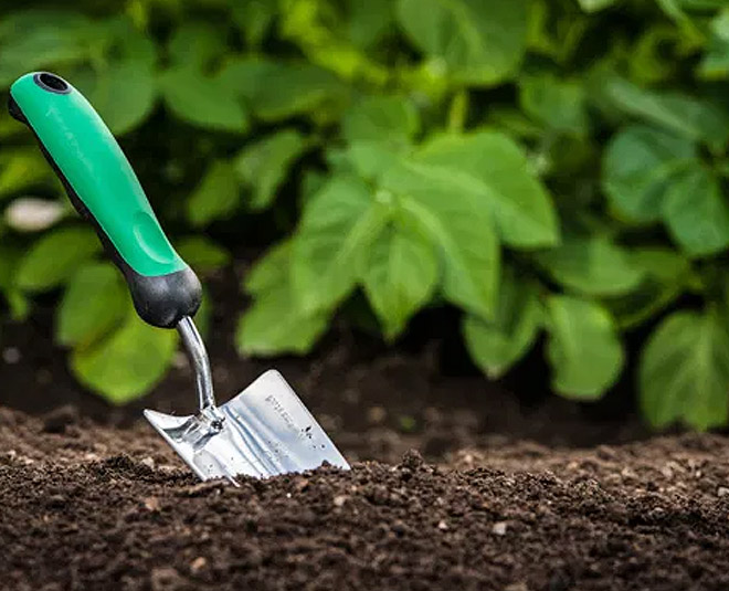 gardening in small spaces