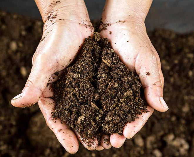 gardening tips for manure