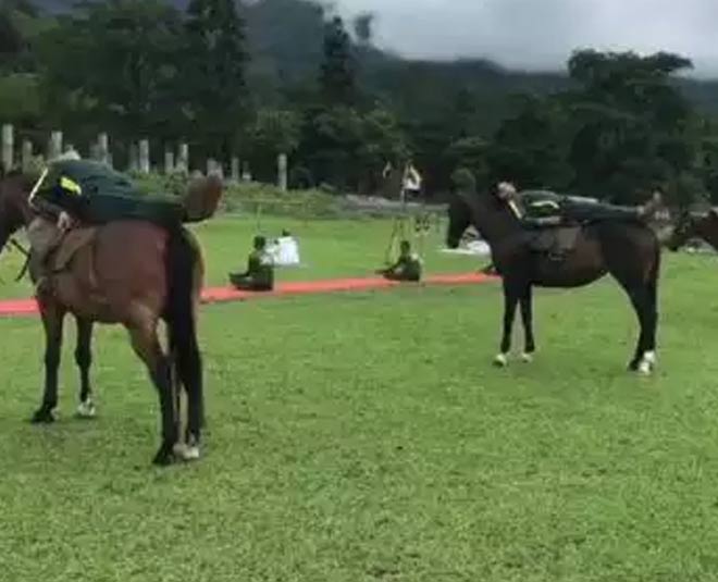 horses police yoga