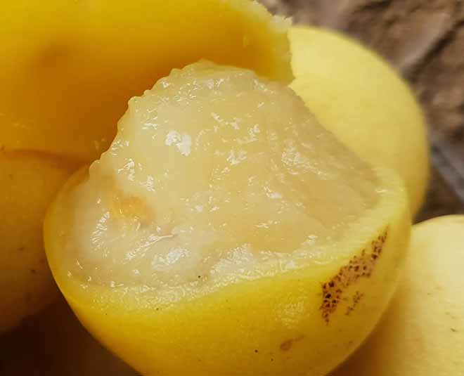 know about marula oil inside
