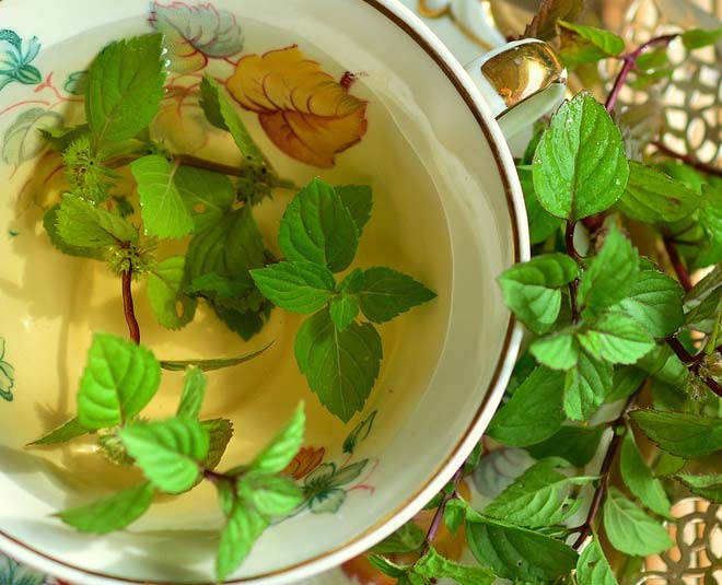 peppermint migraine tea