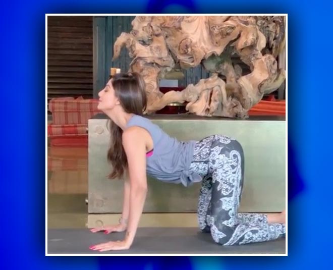 shilpa shetty cat pose inside