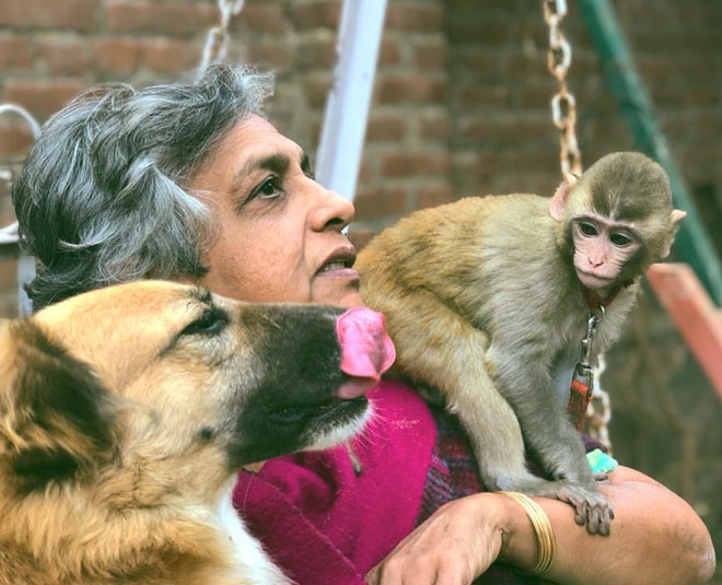 anjali gopalan animal rights