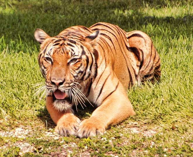 changlang arunachal pradesh must visit attractions INSIDE