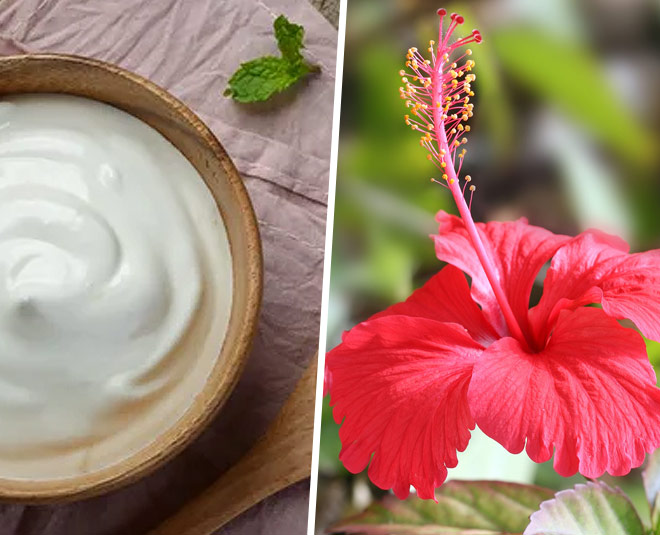 hibiscus flower and dahi for hair fall