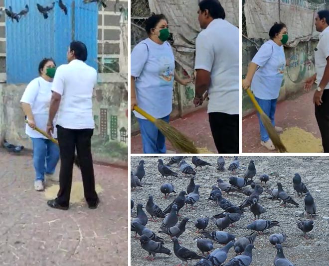 illegal pigeon feeding in lokhandwala