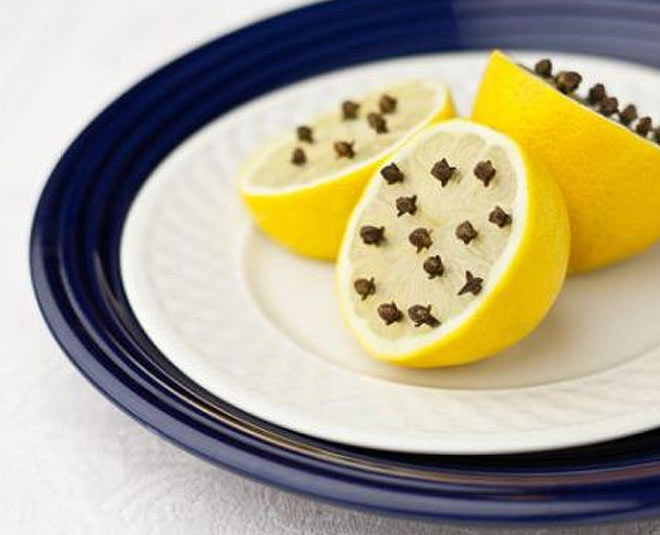 lemon natural fly repelant