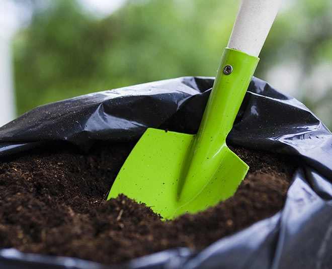 lockdown due to coronavirus inside