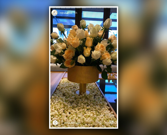 mira rajput valentines day