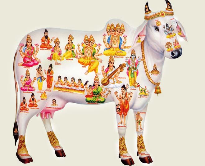 navratri fast without kanya pujan Inside