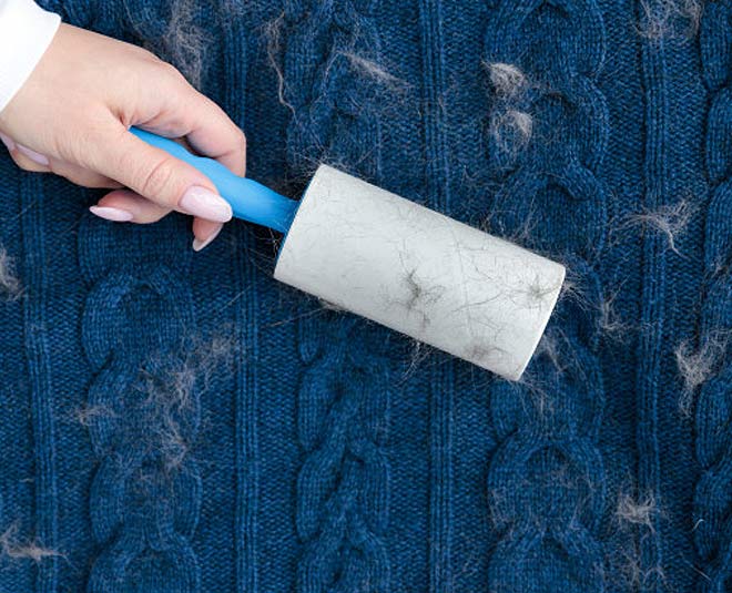 remove pet hair from clothes inside