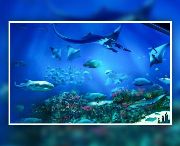 singapore aquarium