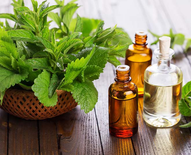 weight loss with essential peppermint oil Inside