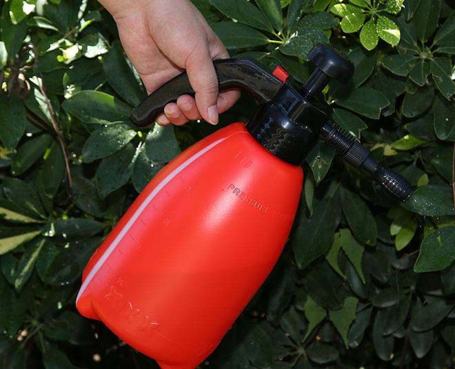 you are planning a outdoor party Inside