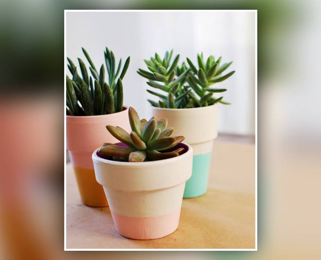 decorate your flower pot inside