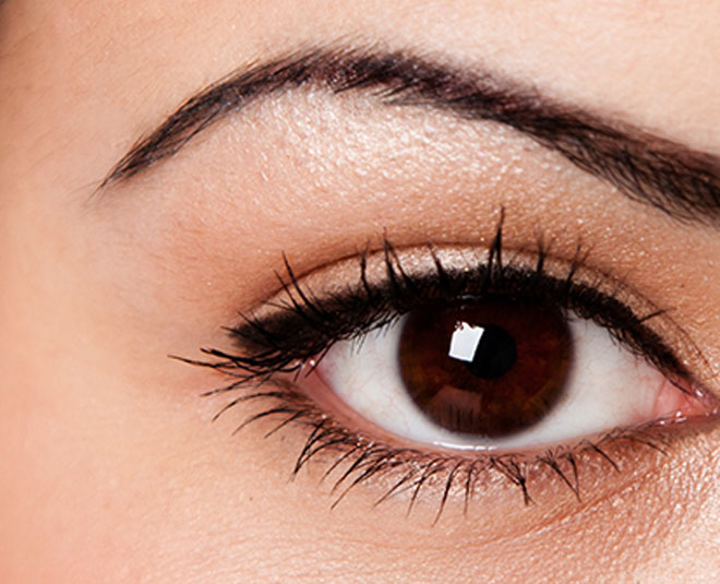 eyeliner styles inside