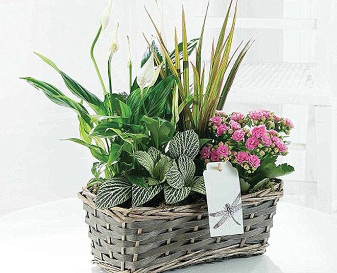 best christmas gift ideas inside