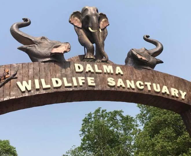 best places to visit in jamshedpur jharkhand dallma inside